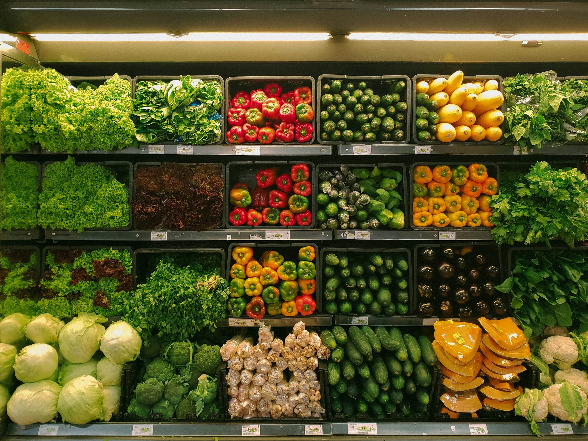 FMCG & Consumer